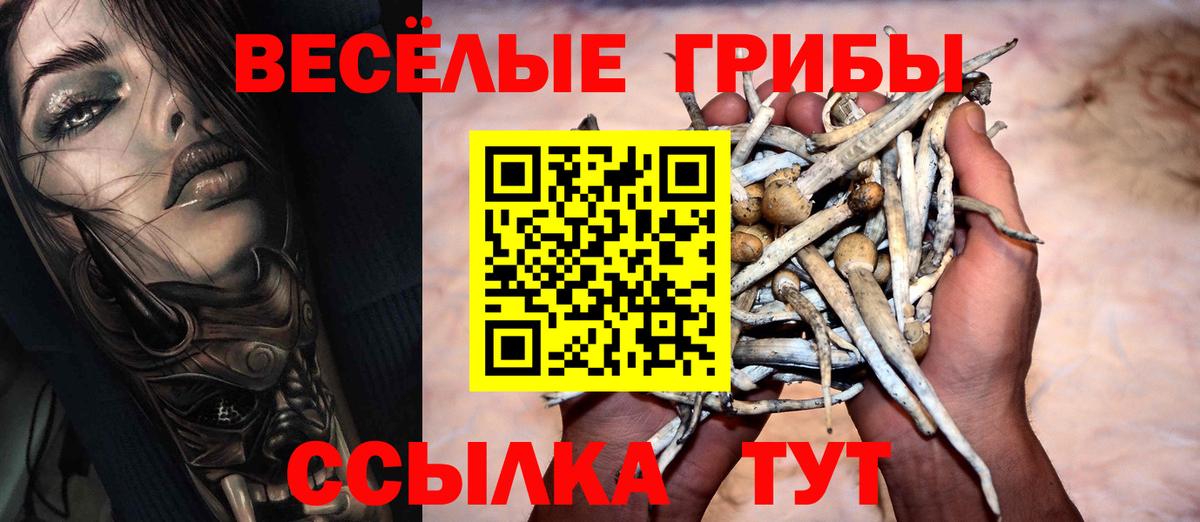 Белебей  Галлюциногенные грибы мухоморы  Вход с VPN  Псилоцибиновые грибы Psilocybe 