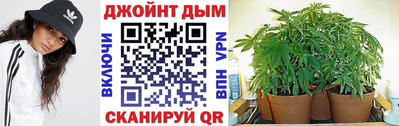 дарнет шоп  Белебей  MEGA ссылки  Каннабис сатива 